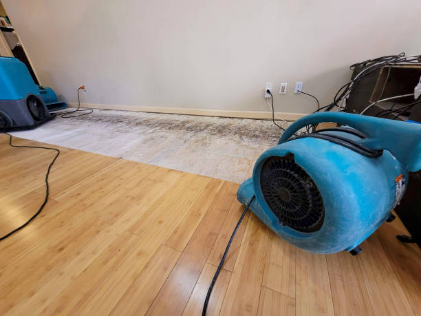 Professional Water Removal technician working in Terrell, TX